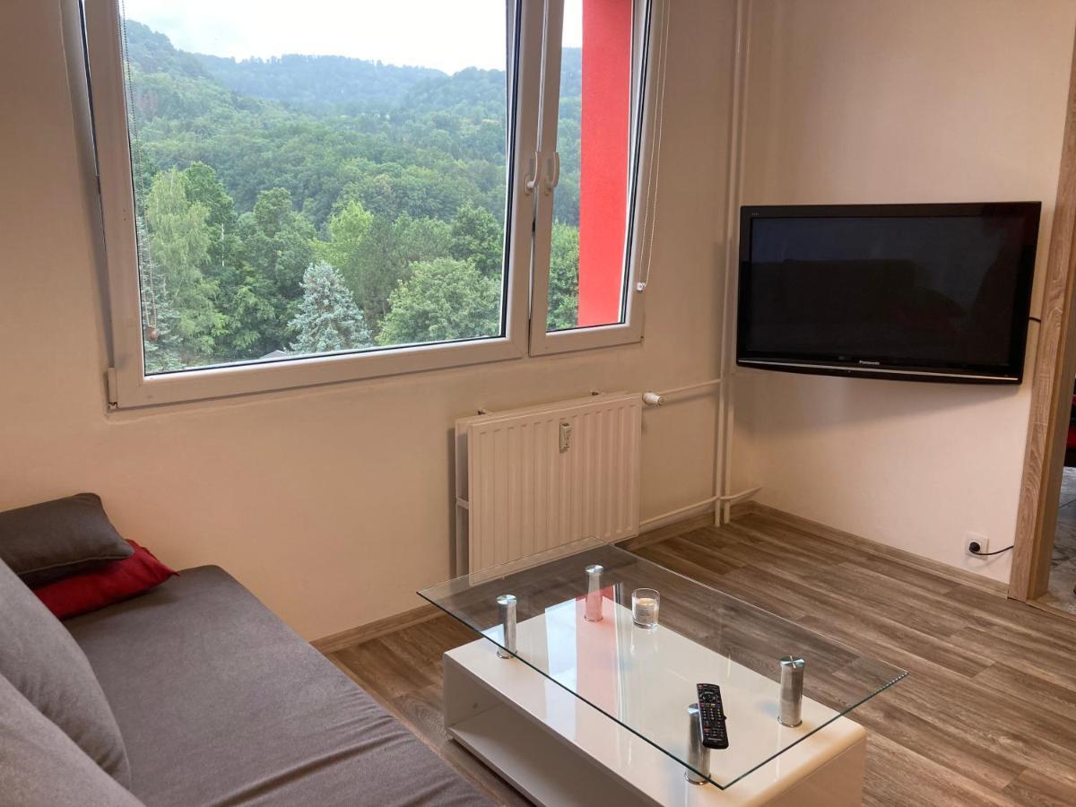 Appartement U Kosmonauta à Decin Extérieur photo